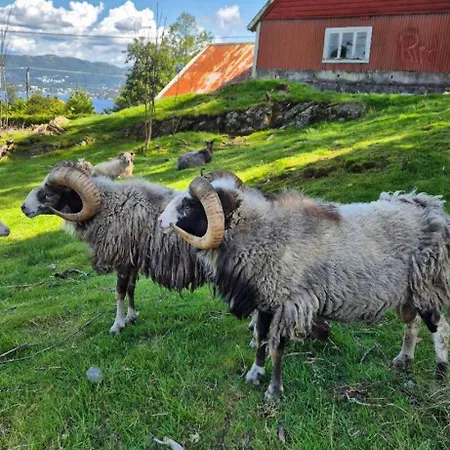 Charming Family House With Beautiful Views!