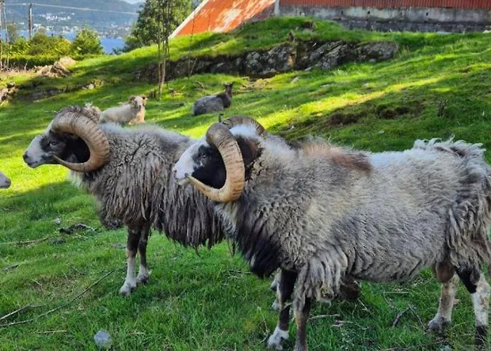 Charming Family House With Beautiful Views!